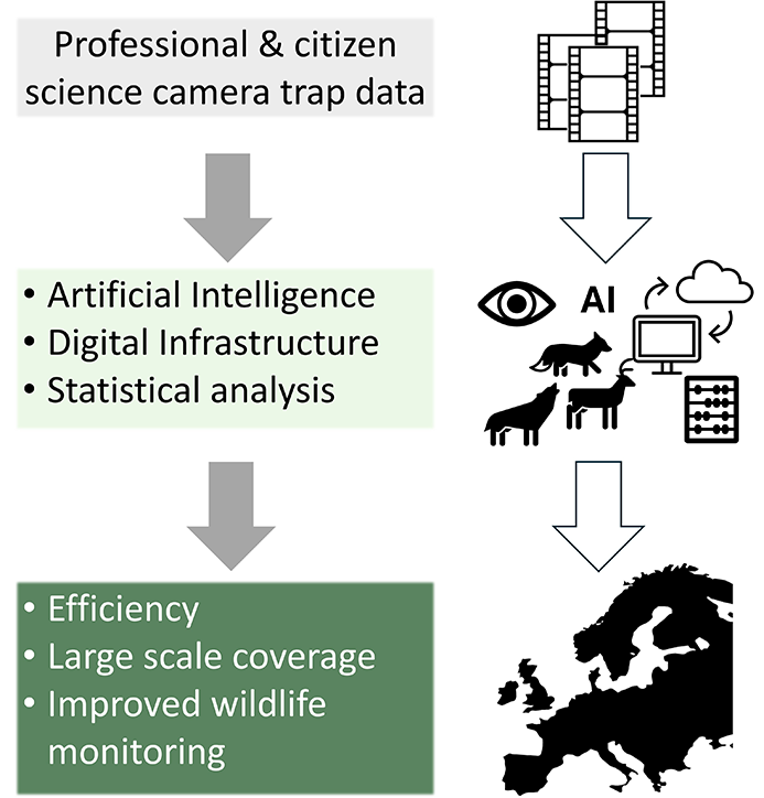 What do we want to do